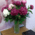 Lina_100073414
