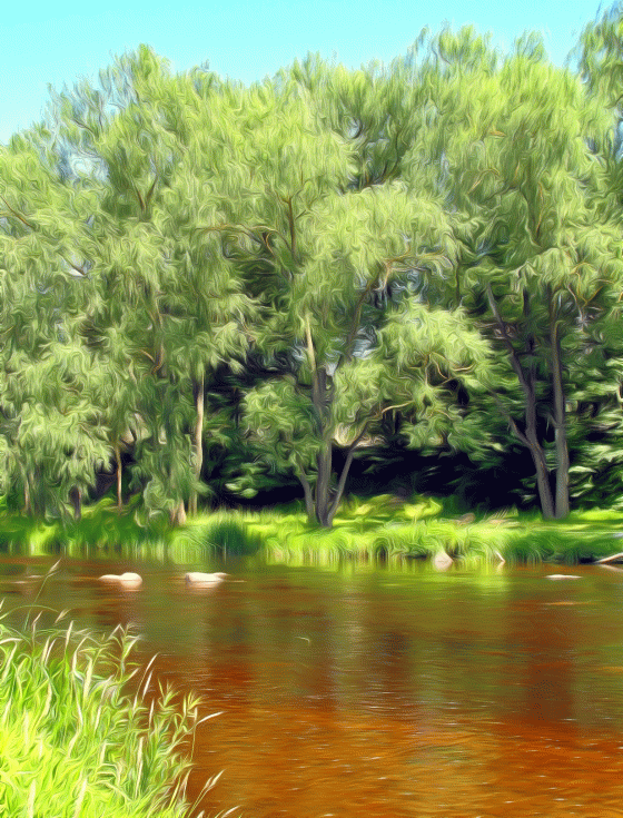 Воспоминания о лете.